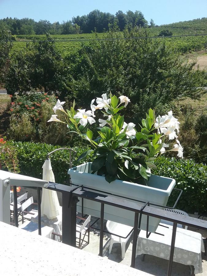 La Terrazza Del Barbaresco Panzió Neviglie Kültér fotó