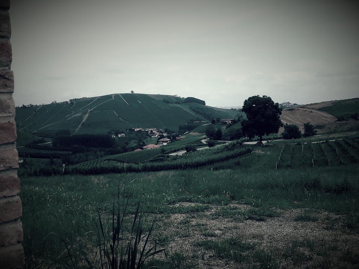 La Terrazza Del Barbaresco Panzió Neviglie Kültér fotó